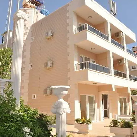 Golden Star فندق